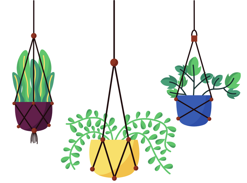 Benefits Of Having Houseplants